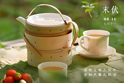 凉爽何时至？末伏养生，从一杯好饮开始，教你如何在“秋老虎”中找到清凉！